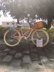 Curve D Coco 2021 RIN RIN BICLAS