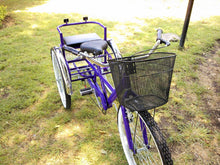 Cargar imagen en el visor de la galería, Tricicleta Deep Purple 2017 RIN RIN BICLAS
