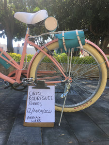 Curve D Coco 2021 RIN RIN BICLAS