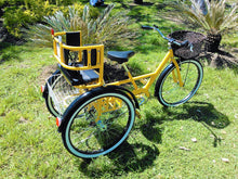Cargar imagen en el visor de la galería, Tricicleta Yellow Suite 1.0 2017 RIN RIN BICLAS
