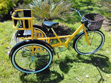 Cargar imagen en el visor de la galería, Tricicleta Yellow Suite 1.0 2017 RIN RIN BICLAS
