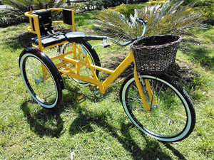 Tricicleta Yellow Suite 1.0 2017 RIN RIN BICLAS