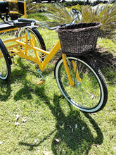 Cargar imagen en el visor de la galería, Tricicleta Yellow Suite 1.0 2017 RIN RIN BICLAS
