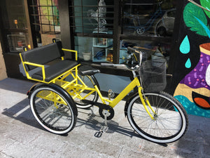 Tricicleta Yellow Suite 2.0 2019 RIN RIN BICLAS