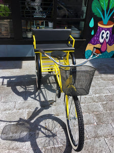 Tricicleta Yellow Suite 2.0 2019 RIN RIN BICLAS
