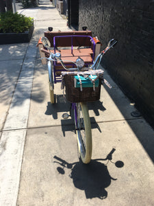Tricicleta Rosa Púpura del Cairo 2022 RIN RIN BICLAS