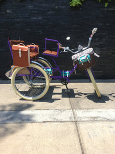 Tricicleta Rosa Púpura del Cairo 2022 RIN RIN BICLAS