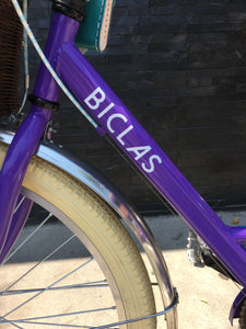 Tricicleta Rosa Púpura del Cairo 2022 RIN RIN BICLAS