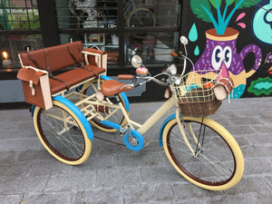 Tricicleta Princess of China 2019 RIN RIN BICLAS