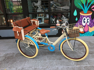 Tricicleta Princess of China 2019 RIN RIN BICLAS