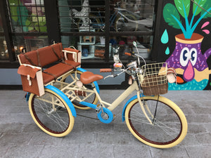 Tricicleta Princess of China 2019 RIN RIN BICLAS