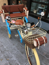 Cargar imagen en el visor de la galería, Tricicleta Princess of China 2019 RIN RIN BICLAS
