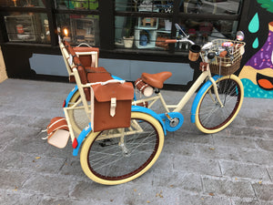 Tricicleta Princess of China 2019 RIN RIN BICLAS