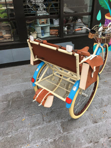 Tricicleta Princess of China 2019 RIN RIN BICLAS