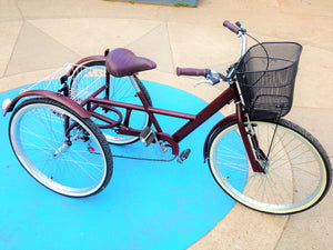 Tricicleta Plataforma Terracota RIN RIN BICLAS