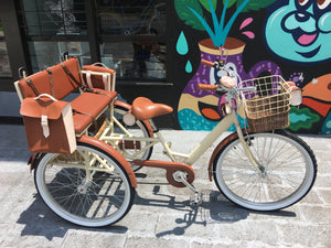 Tricicleta Chocolat 2018 RIN RIN BICLAS