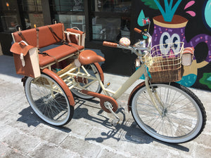 Tricicleta Chocolat 2018 RIN RIN BICLAS