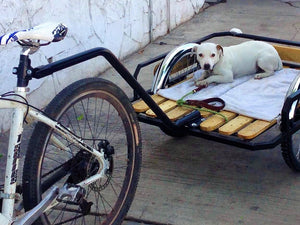 Remolque r24 y r26 RIN RIN BICLAS