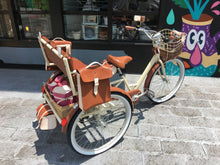 Cargar imagen en el visor de la galería, Tricicleta Chocolat 2018 RIN RIN BICLAS
