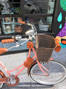Britt Azure Ray RIN RIN BICLAS