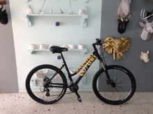 Cargar imagen en el visor de la galería, Montaña Coyuri Dama r-26 RIN RIN BICLAS
