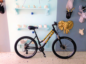 Montaña Coyuri Dama r-26 RIN RIN BICLAS