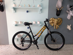 Montaña Coyuri Dama r-26 RIN RIN BICLAS
