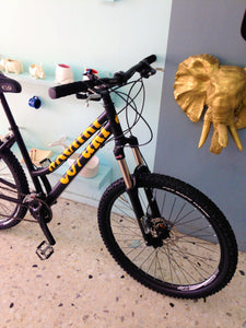 Montaña Coyuri Dama r-26 RIN RIN BICLAS