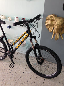 Montaña Coyuri Dama r-26 RIN RIN BICLAS