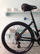 Cargar imagen en el visor de la galería, Montaña Coyuri Dama r-26 RIN RIN BICLAS
