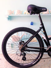 Cargar imagen en el visor de la galería, Montaña Coyuri Dama r-26 RIN RIN BICLAS
