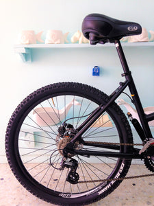 Montaña Coyuri Dama r-26 RIN RIN BICLAS