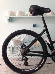 Montaña Coyuri Dama r-26 RIN RIN BICLAS