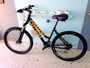Montaña Coyuri Dama r-26 RIN RIN BICLAS