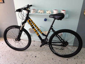 Montaña Coyuri Dama r-26 RIN RIN BICLAS