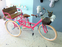 Cargar imagen en el visor de la galería, Tricicleta Everlasting Fun 2017 Sencillo RIN RIN BICLAS
