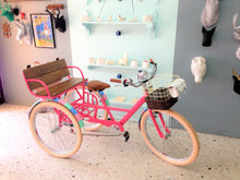 Cargar imagen en el visor de la galería, Tricicleta Everlasting Fun 2017 Sencillo RIN RIN BICLAS
