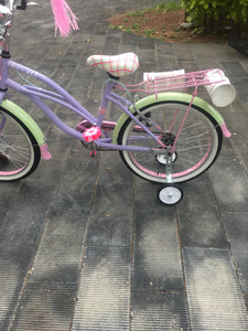 Curve N R20 Bruise 2021 RIN RIN BICLAS