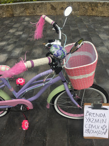 Curve N R20 Bruise 2021 RIN RIN BICLAS