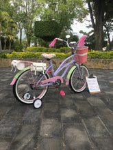 Cargar imagen en el visor de la galería, Curve N R20 Bruise 2021 RIN RIN BICLAS
