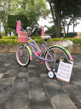 Cargar imagen en el visor de la galería, Curve N R20 Bruise 2021 RIN RIN BICLAS
