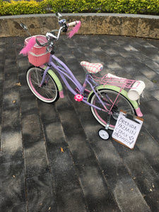 Curve N R20 Bruise 2021 RIN RIN BICLAS