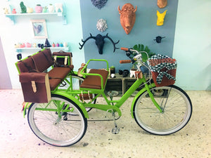 Tricicleta Lemon Tree 2019 RIN RIN BICLAS