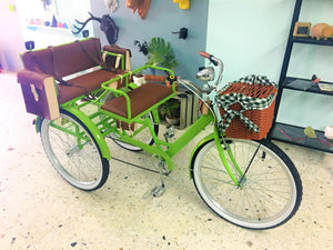Tricicleta Lemon Tree 2019 RIN RIN BICLAS