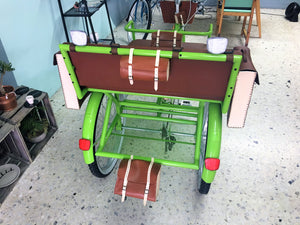 Tricicleta Lemon Tree 2019 RIN RIN BICLAS