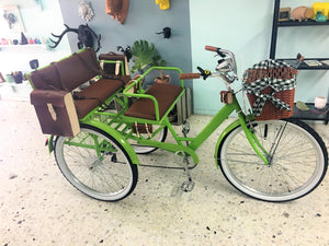 Tricicleta Lemon Tree 2019 RIN RIN BICLAS