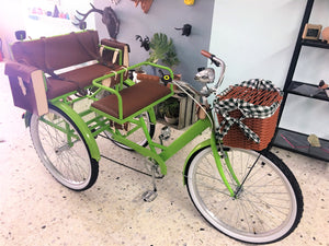 Tricicleta Lemon Tree 2019 RIN RIN BICLAS