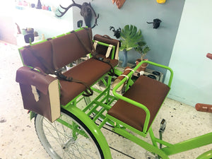 Tricicleta Lemon Tree 2019 RIN RIN BICLAS