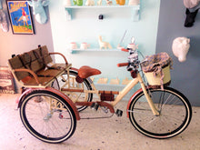 Cargar imagen en el visor de la galería, Tricicleta chocolat 2016 RIN RIN BICLAS
