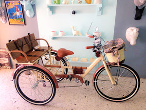 Tricicleta chocolat 2016 RIN RIN BICLAS